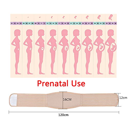 WANYI Fascia maternità Traspirante Regolabile Maternity Band Belt con –